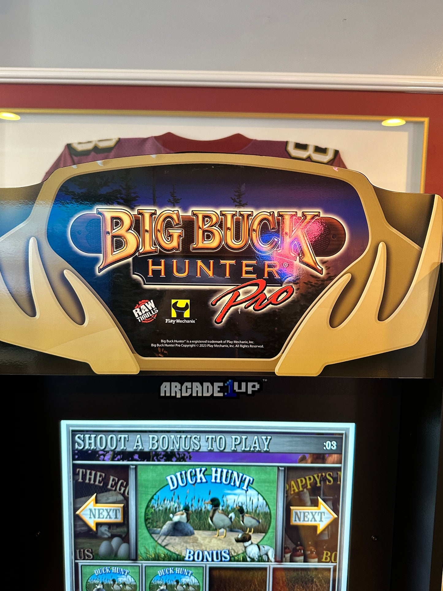 Big Buck Hunter Pro