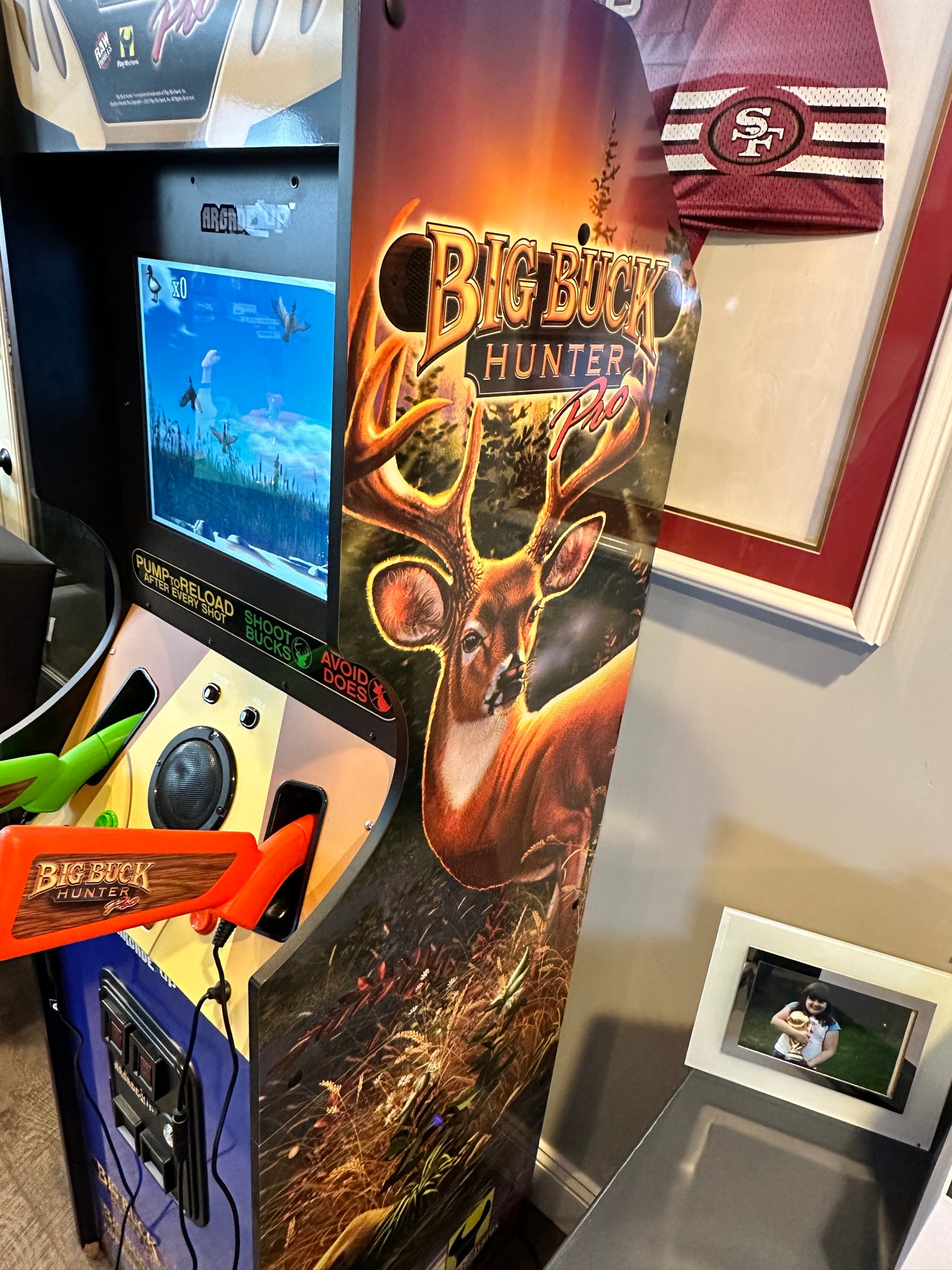 Big Buck Hunter Pro